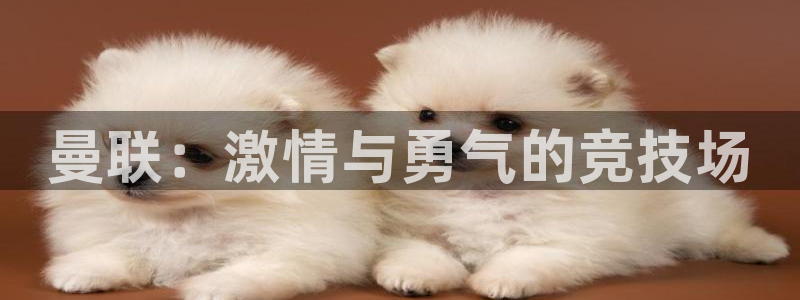 曼联：激情与勇气的竞技场