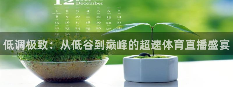 低调极致：从低谷到巅峰的超速体育直播盛宴