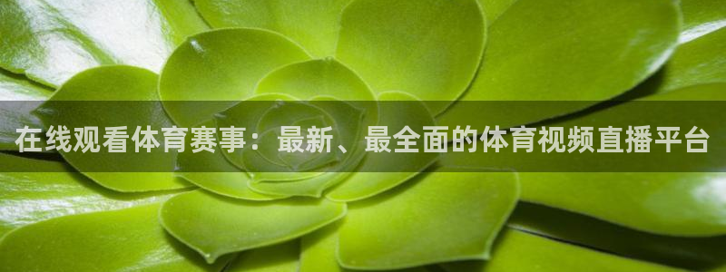 在线观看体育赛事：最新、最全面的体育视频直播平台