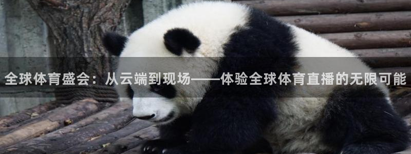 全球体育盛会：从云端到现场——体验全球体育直播的无限可能