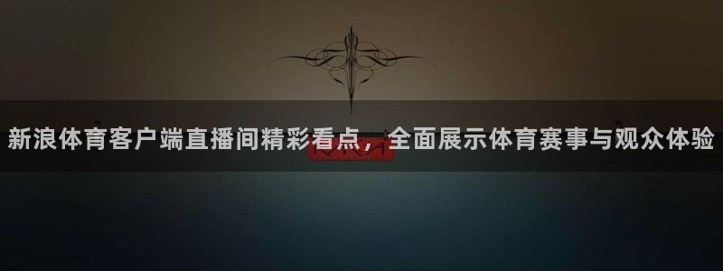 新浪体育客户端直播间精彩看点，全面展示体育赛事与观众体验
