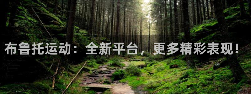 布鲁托运动：全新平台，更多精彩表现！